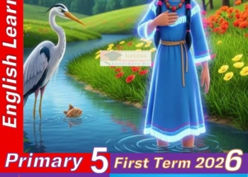 أقوى مذكرة شرح وتدريبات جرامر اللغة الانجليزية للصف الخامس الابتدائي الترم الأول