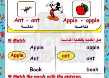 افضل ملزمة تأسيس لغة انجليزية لطلاب رياض الأطفال kg