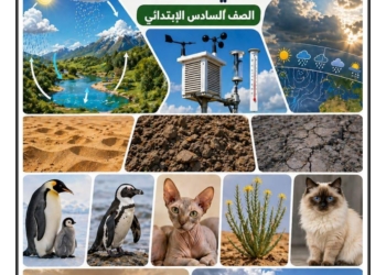 اهم مذكرة مراجعة ليلة الامتحان في العلوم الصف السادس الابتدائي الترم الثاني 2026